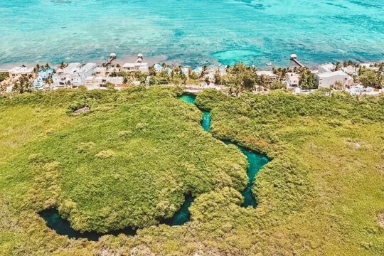 Cenote Paddleboarding and Snorkeling in Tulum