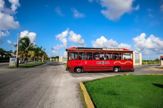 Cozumel City Tour By Trolley