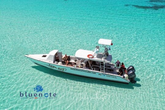 2 Tank Morning Dive: Scuba Diving in Cozumel