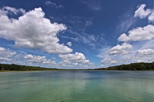 Wild Monkey Tour (Private, Half Day)