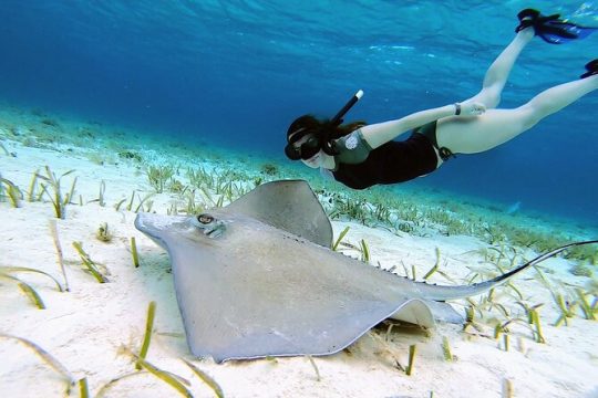 El Cielo Cozumel Snorkeling by Private Boat