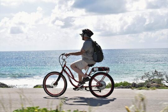 Half-Day Electric Bike Tour of Cozumel's East Side With Lunch