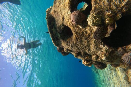 Snorkel along the coast, explore two reefs by Chivis del Mar