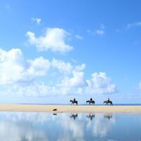 Horseback Riding