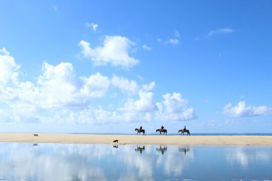 Horseback Riding Tour in Cabo San Lucas