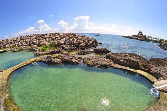 Tour Xcaret All Inclusive from Playa del Carmen - Included Transportation