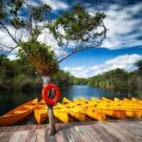 Day Trips & Excursions