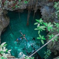 Full-day Tours