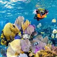 Ports of Call Tours