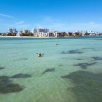 Glass Bottom Boat Tours