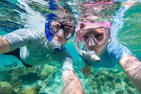 Cozumel Snorkeling Tour to Palancar Reef and El Cielo