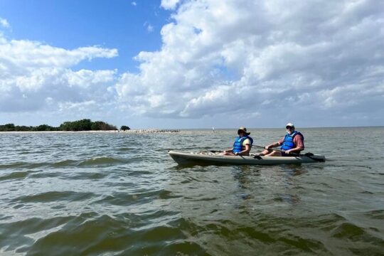 Space Coast Manatee & Coastal Wildlife Kayak Tour