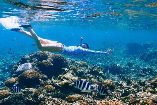 Reef Snorkeling with ATV, Zipline, Cenote that includes lunch and transportation