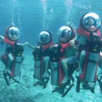 Shore Excursions