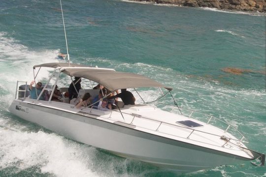 Captain Alan's Three Island Snorkelling & Beach Adventure