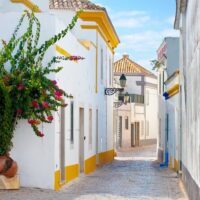 Private & Custom Tours
