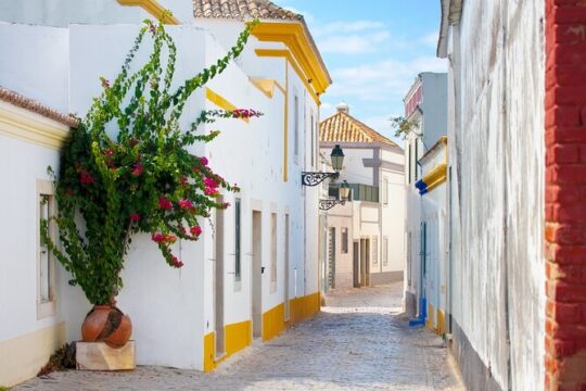 Withlocals Connect - Lisbon Unveiled: Kickstart Walk