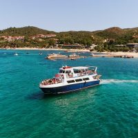 Day Cruises