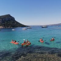 Snorkeling