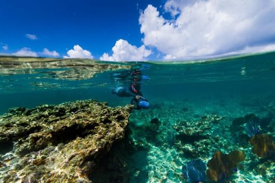 Power Snorkel By Sea Scooters, Food & Tequila Tasting