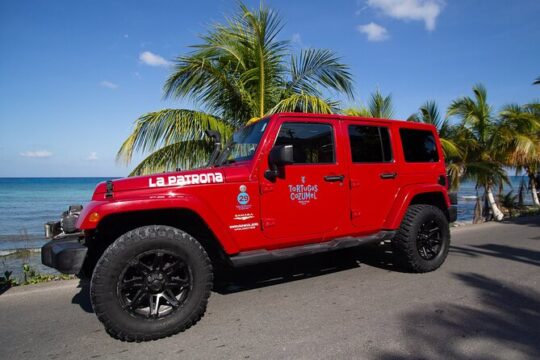The Original Jeep Tour Revamped by Tortugas Cozumel® (Private)