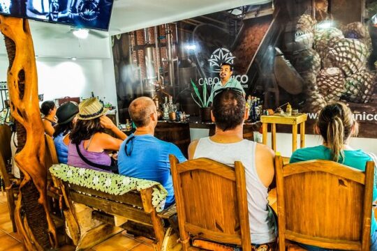 Tequila Tasting in Cabo San Lucas