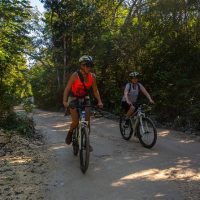 Eco Tours