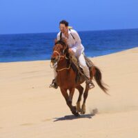 Horseback Riding