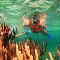 Walking & Biking Tours