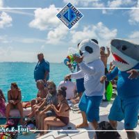 Catamaran Cruises