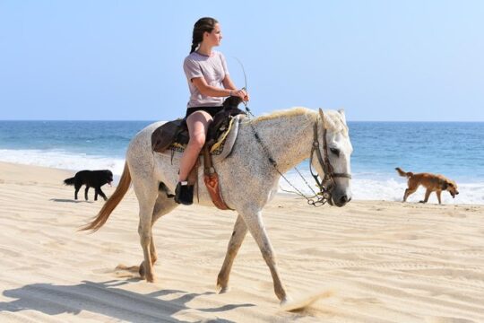 Cabo Desert ATV & Beach Horseback Combo and Tequila Tasting