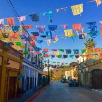 Cultural & Theme Tours