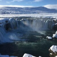 Shore Excursions