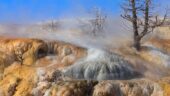 Best Way to See Yellowstone!!