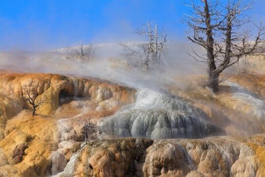 Full Day Best Of Yellowstone National Park Tour From Big Sky