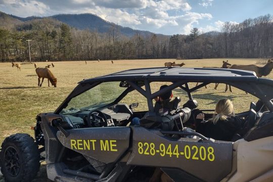 3.5-4 HR UTV ECO Elk Wilderness Adventure