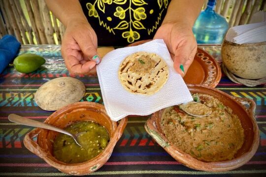 Cozumel: Private Tour by Van or Jeep