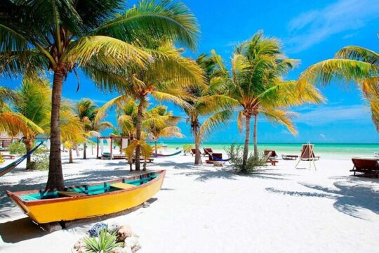Isla Holbox All Inclusive with Transportation (Breakfast and Food Included)