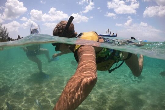 Customizable Private Buggy Tour in Cozumel with Lunch and Snorkel