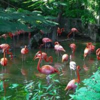 Audio Guided Tours