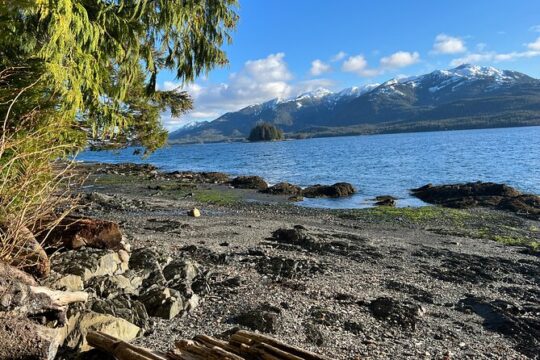 Low Tide Excursion & Totem Bight Park