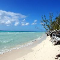 Day Trips & Excursions