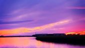 Great sunset dolphin excursion