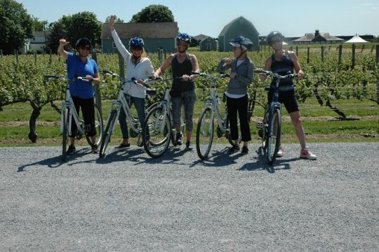 Private 2.5 Hour North Fork Bike Tour Thru Wine Cntry in Matituck