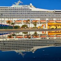 Private & Custom Tours