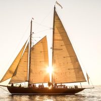 Boat Tours