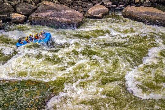 New River Gorge Whitewater Rafting, WV - Lower New Full Day