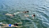 Fun little snorkeling trip