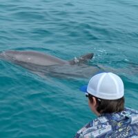 Cultural & Theme Tours
