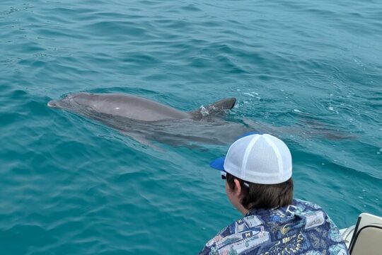 2-Hour Private Dolphin Sightseeing Adventure in Panama City